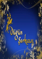 Düğün Şarkıcısı