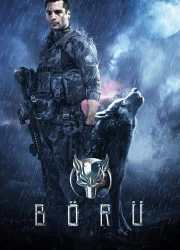 Börü