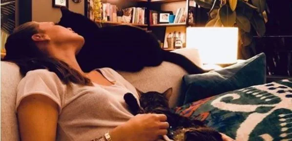 ¡Amor de gato que aumenta la simpatía por Aslı Enver!