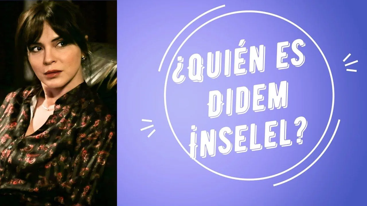 ¿Quién es Didem İnselel?
