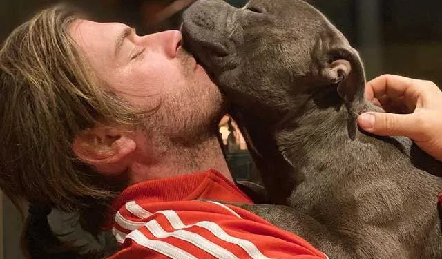 El desgarrador compartir de la esposa de Kıvanç Tatlıtuğ, Başak Dizer
